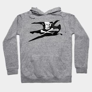 Jolly Roger pirate flag Hoodie